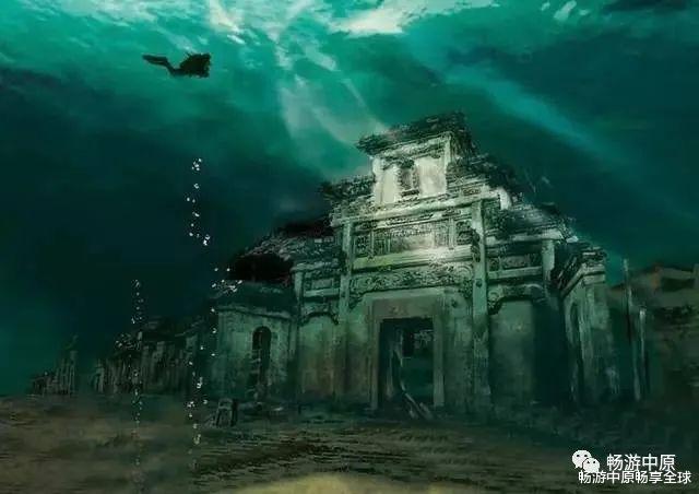 探索知识星球平台,尽享动物生活习性的精彩世界
